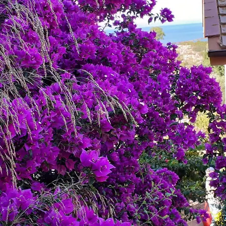 Casa Margot Arenella (Grosseto)